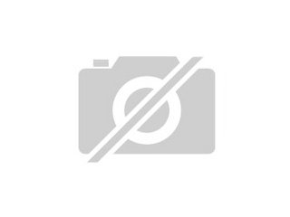 Kostenlos Gesellschaftspiele